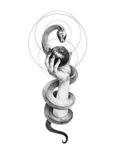 a pencil drawing of a snake wrapped around a human hand and surrounded by two snakes