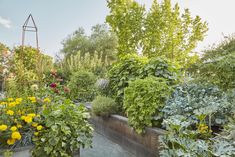 a garden filled with lots of different types of flowers and plants next to each other