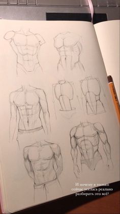 an open book with drawings of men's torsos