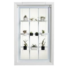 a white window with several plants on it