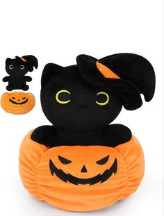 a black cat sitting on top of a pumpkin