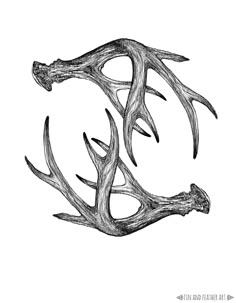 the letter d made out of antlers on a white paper with black and white ink