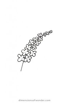 a black and white drawing of a flower on a stick with the words, flowers not wonder