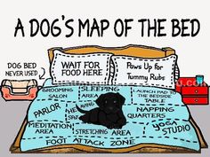 a dog's map of the bed is shown in this humorous comic style drawing