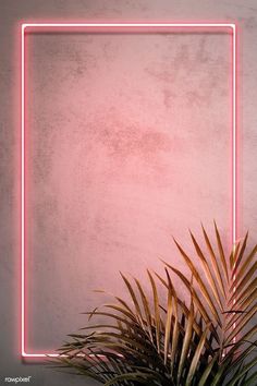 a pink neon frame on a wall next to a palm tree and a potted plant