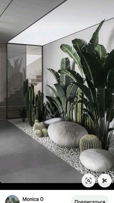 a room filled with lots of plants next to a white wall and floor covered in rocks