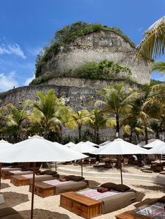 beach chairs and umbrellas are lined up on the sand with palm trees in the background