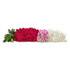 three long stemmed roses arranged in different colors and sizes, one is pink, the other red