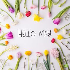 the words mother's day surrounded by flowers