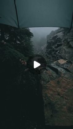 the view from inside an umbrella looking down on rocks and trees in the foggy woods