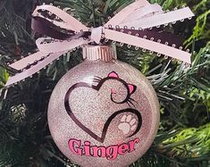 a silver ornament with a cat on it hanging from a christmas tree branch