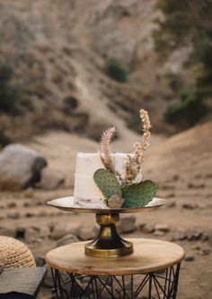 a cake sitting on top of a wooden table next to a desert like area with rocks and plants