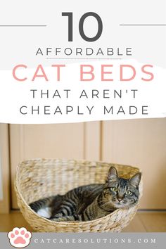 10 Affordable, Cheap Cat Beds That Aren't Cheaply Made + DIY Options Cat Accessories Diy, Bed Options, Cat Supplies List, Diy Cat Bed, Cardboard Cat House, Wooden Cat House, Cats House, Cat House Diy, Diy Cat Toys