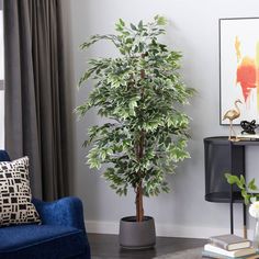 a living room filled with furniture and a potted plant