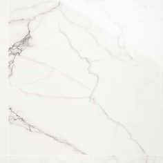 white marble textured wall and floor tiles in an elegant pattern with black lines on the edges