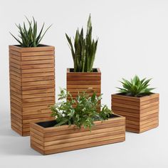 three wooden planters with plants in them