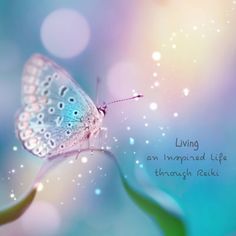 <3 "I live inspired by my Reiki practice every day as I see the people who I help flourish in their lives." <3

Do these words also sound familiar to you? Being a Reiki channel is so inspiring! Reiki Practice, Reiki Principles, Reiki Business, Teaching Mindfulness, Buddha Teachings, Wellness Business