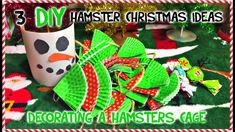 an image of christmas decorations with the words 3 diy hamster christmas ideas decorating a hamster's age