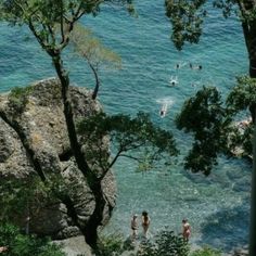 several people are swimming in the water near some rocks and trees, with one person standing at the edge of the water