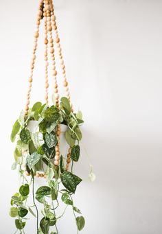 a wooden beaded plant hanging from a white wall