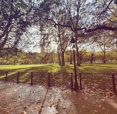 an empty park with lots of trees and leaves on the ground