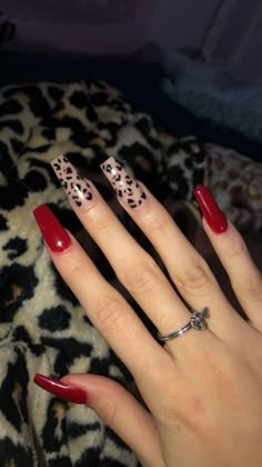 Zebra Leopard Nails, Y2k Nails Cheetah, Cherry Leapord Nails, Hot Pink And Leopard Nails, Long Cheetah Print Nails, Cheetah Print Nails Coffin, Cheetah Print Nails Acrylic, Nail Designs Cheetah Print, Cheetah Nails Acrylic