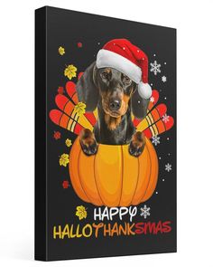 a dachshund dog wearing a santa hat sitting in a pumpkin with happy thanksgiving written on it