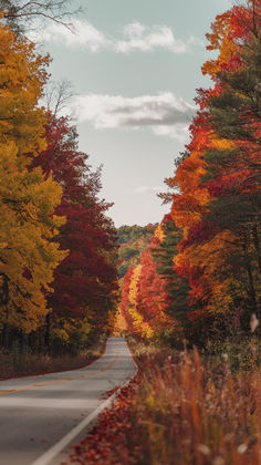 A winding road through a forest ablaze with autumn colors, featuring trees in vibrant shades of red, orange, and yellow under a pale blue sky with wispy clouds. East Coast Travel, Leaf Peeping, Fall Beauty, Colors Of Fall, Scenic Byway, Autumn Beauty