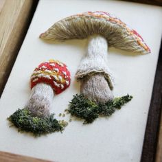 two mushrooms are sitting on a piece of fabric in a shadow box, one is red and the other is white