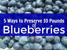 blueberries piled on top of each other with the words 5 ways to preserve 10 pounds of blueberries