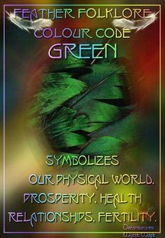 Foods For Pregnancy, Health Relationships, Green Feathers, Spiritual Animal, Green Feather, Animal Spirit Guides, Magical Life