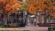 an autumn scene with trees and benches in the foreground, on a cobblestone street