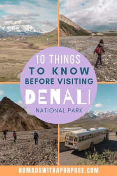 the national park in denali with text overlay that reads 10 things to know before visiting denali national park