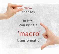 two hands pointing at each other with the words macro and micro changes in front of them