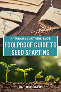 Unlock the secrets of seed starting with our comprehensive guide! From understanding the essentials of soil to transplanting your thriving seedlings, we dive deep into each step, ensuring you're equipped with the knowledge for a successful gardening season. Whether you're a beginner or seasoned gardener, this post offers invaluable insights. 🌱🌻 #GardeningTips #SeedStarting #SouthernSeeds Garden Ideas India, Spiritual Herbs, Vegetable Gardening Ideas, Garden 101, Homestead Lifestyle, Propagate Plants, Forest Farm, Growing Tomatoes In Containers, Food Gardening