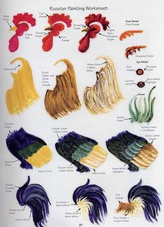 an image of different colored hair styles