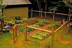 an outdoor garden with lots of plants growing in it