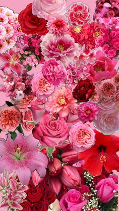 a bunch of pink and red flowers are arranged in the shape of a collage