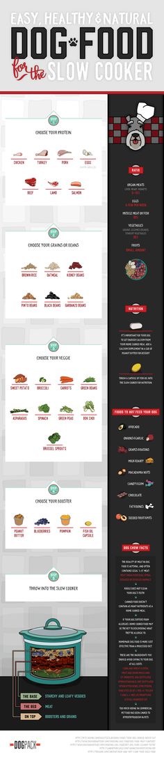 the food info sheet shows different types of foods and what they are in each section