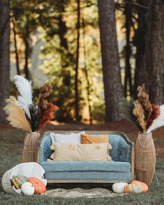 a blue couch sitting on top of a grass covered field next to tall pine trees