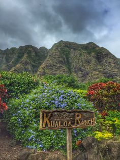 a wooden sign sitting in front of a lush green hillside