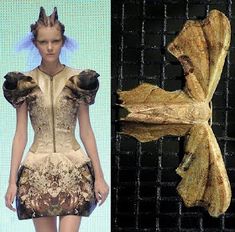 Tiny Sparkly Things: THE INSPIRATION BEHIND ALEXANDER MCQUEEN SPRING 2010 are Moths Insect Inspired Dress, Insect Texture, Insect Fashion, Insects Fashion, White Ermine, Moth Dress, Mc Queen