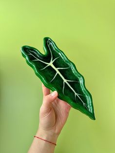 a hand holding a green leaf shaped object