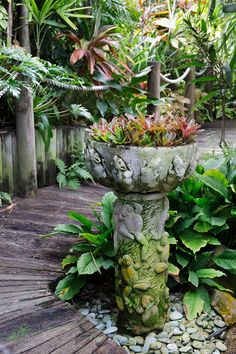 a garden with plants and rocks in the center, along side a wooden walkway that leads to a deck