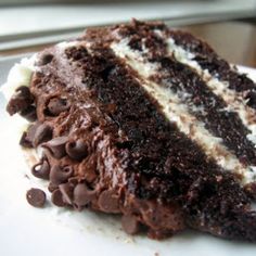 a piece of chocolate cake on a plate with white frosting and chocolate chips around it