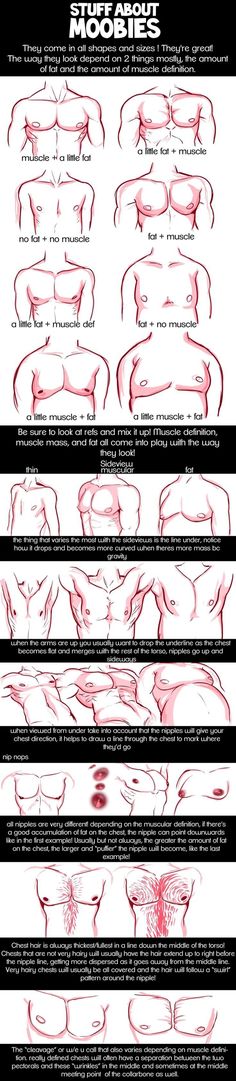 an image of how to draw the human body with different lines and shapes on it