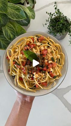 a hand holding a plate of spaghetti with tomatoes and herbs on it, next to potted plants