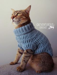 When I decided to crochet a sweater for my cat, I didn't realize how much fun it would be. My cat is not just a pet; she's part of the family. So, I wanted to make something special for her. At first, it was hard to find the right pattern. There are so many out there, but not all of them fit what I was looking for. After trying a few, I finally found some that worked great. These patterns I found were not only cute but also practical. They kept m Cat Sweater Pattern, Crochet Dog Hat, Kitten Sweater, Dog Sweater Crochet Pattern, Crochet Cat Hat, Crochet Dog Sweater, Crochet Sweater Pattern Free, Sweater Patterns, Cat Sweater