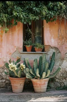 two potted plants sitting next to each other in front of a window on a stone wall