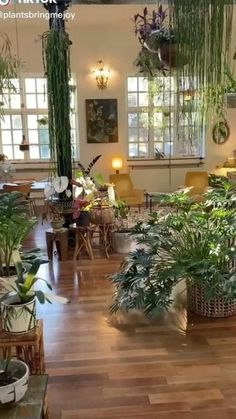 a room filled with lots of potted plants and tables next to each other on hard wood flooring